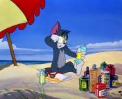 Tom & Jerry (1940) - S1940E43 - The Cat And The Mermouse (480p x264 AAC) from latex cat