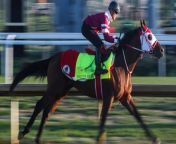 Kentucky Derby Preview: Some Top Picks and Dark Horses from indochan org young