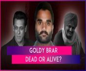 Is Goldy Brar dead? Or is he still alive? On May 1, the Fresno police department in California denied reports of Goldy Brar being shot dead. The department denied reports that one of the two people attacked in a shooting incident was Canada-based gangster Goldy Brar. Reports also suggested that Brar was killed by his rival Dalla Lakhbhir&#39;s gang. Goldy Brar is the mastermind behind Punjabi singer Sidhu Moose Wala&#39;s murder. Sidhu Moose Wala was shot dead in Punjab’s Mansa district on May 29, 2022. Brar is also known to be a key member of the Lawrence Bishnoi gang. Last year, Brar had said that actor Salman Khan was his next target. Watch the video to know more.&#60;br/&#62;