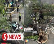 A tree has fallen along Jalan Sultan Ismail in front of Concorde Hotel in Kiuala Lumpur following a downpour, with several vehicles seen trapped under it.&#60;br/&#62;&#60;br/&#62;Read more at https://shorturl.at/rAKQ8&#60;br/&#62;&#60;br/&#62;WATCH MORE: https://thestartv.com/c/news&#60;br/&#62;SUBSCRIBE: https://cutt.ly/TheStar&#60;br/&#62;LIKE: https://fb.com/TheStarOnline