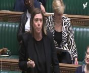 &#60;p&#62;Former shadow domestic violence minister Jess Phillips makes the case for banning MPs from Parliament at the point of arrest as she vows to stand up for victims of sexual assault.&#60;/p&#62;&#60;br/&#62;&#60;p&#62;Credit: Parliamentlive.tv&#60;/p&#62;