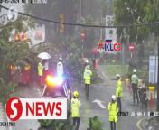 Neitzens flooded social media with news that another tree had fallen in the Kuala Lumpur city centre on Monday (May 13) afternoon. The incident happened outside Menara Prestige on Jalan Pinang.&#60;br/&#62;&#60;br/&#62;Read more at https://shorturl.at/bpKX0&#60;br/&#62;&#60;br/&#62;WATCH MORE: https://thestartv.com/c/news&#60;br/&#62;SUBSCRIBE: https://cutt.ly/TheStar&#60;br/&#62;LIKE: https://fb.com/TheStarOnline