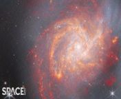 Zoom into an amazing James Webb Space Telescope view ofgalaxy NGC 3256. It is &#92;