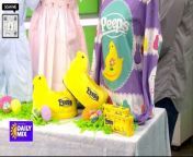 From chocolate eggs to the perfect pastels - we’ve peeped what you’ll need this Easter Sunday. Jessica Wills is standing by with the top products to make your holiday egg-stra perfect. For more information, visit bestreviews.com