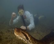 The &#39;world&#39;s largest anaconda&#39; which went viral last month was found dead in the Amazon.&#60;br/&#62;&#60;br/&#62;Scientists discovered the new species in July last year and a video of Dutch biologist Freek Vonk swimming next to the huge snake went viral last month (February 2024).&#60;br/&#62;&#60;br/&#62;Professor Freek Vonk said on his Instagram: &#92;