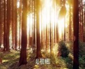 Taylor Swift - All Too Well (Sad Girl Autumn Version) - Recorded at Long Pond Studios (Lyric Video) &#60;br/&#62;