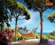 Oggy and the Cockroaches Season 03 Hindi Episode 39 The Cicada and the Cockroach from oggy cartoon xxx video